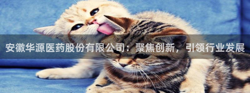 九游会老哥论坛