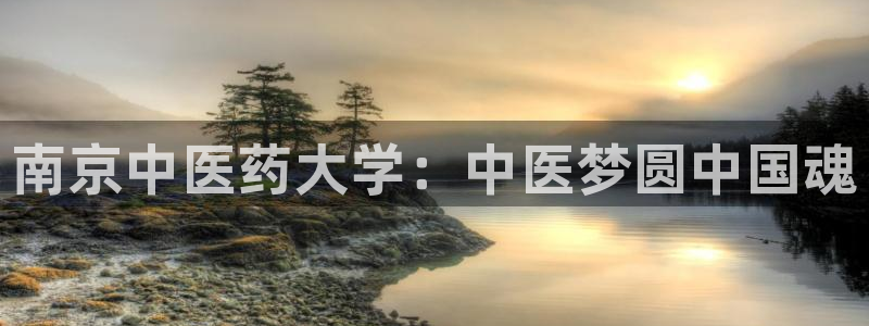 九游会网址最新