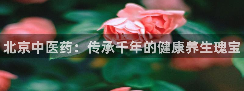 九游会官网登录中心