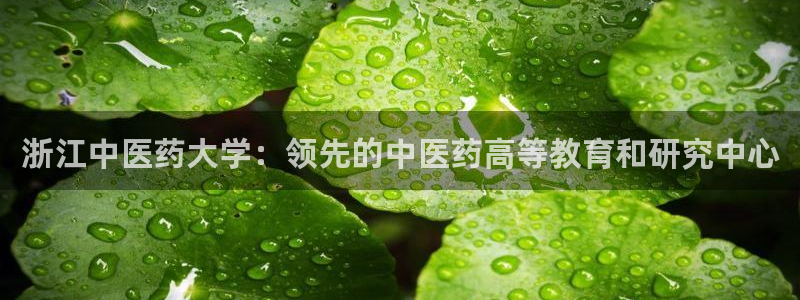 九游会老哥论坛