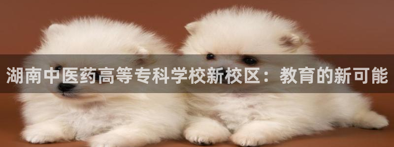 j9九游会游戏中国官方网站