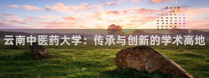 九游会ag真人官网|九游真人