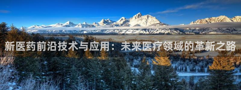 九游会网址是什么