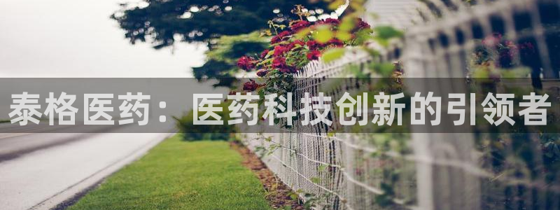 九游会平台王一博泰国